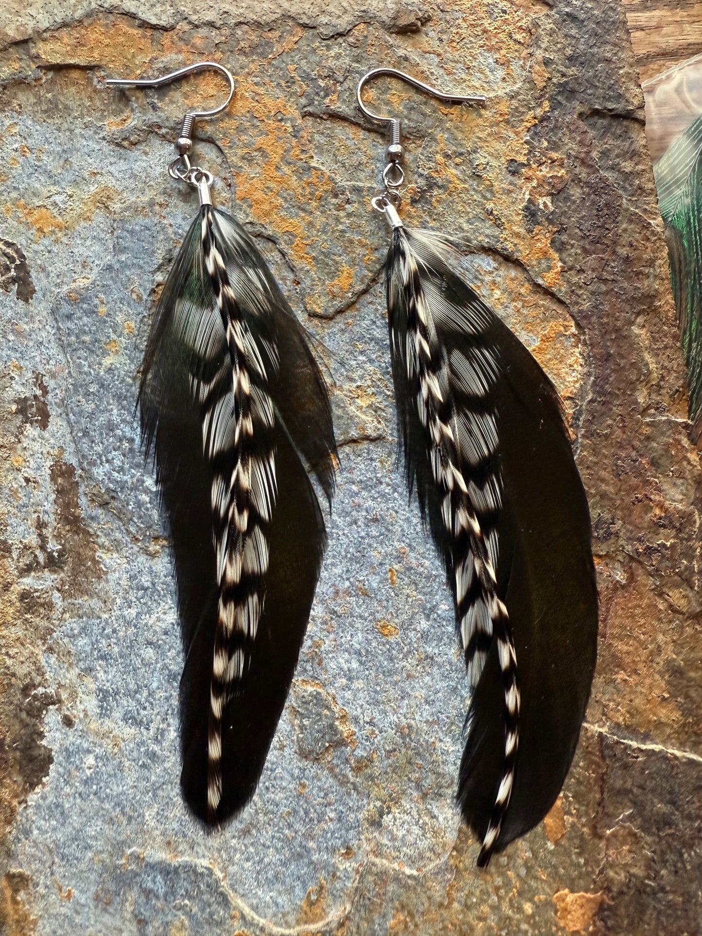 Raven Trail Feather Earrings