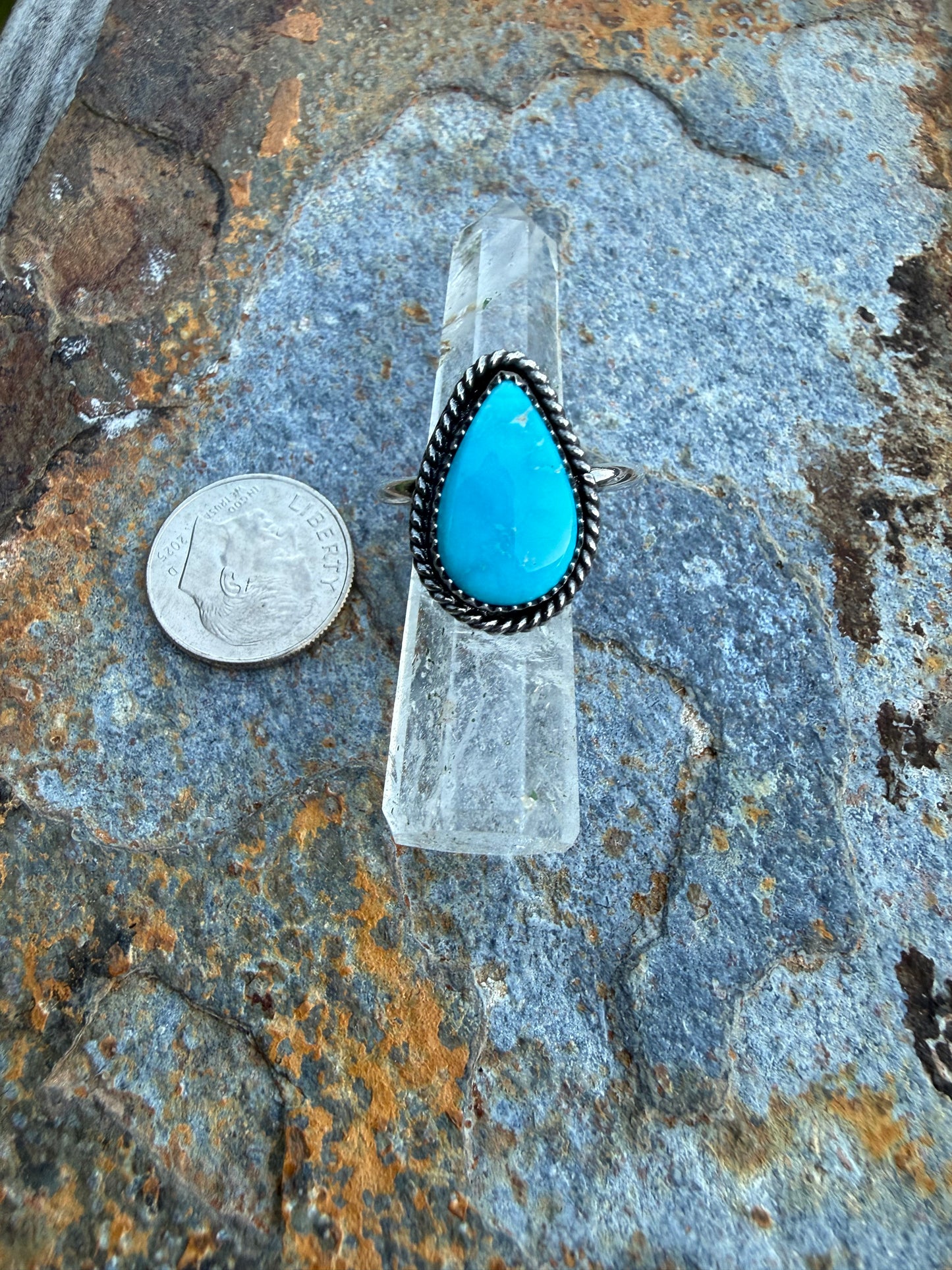 Blue Bird Turquoise Sterling Silver Ring