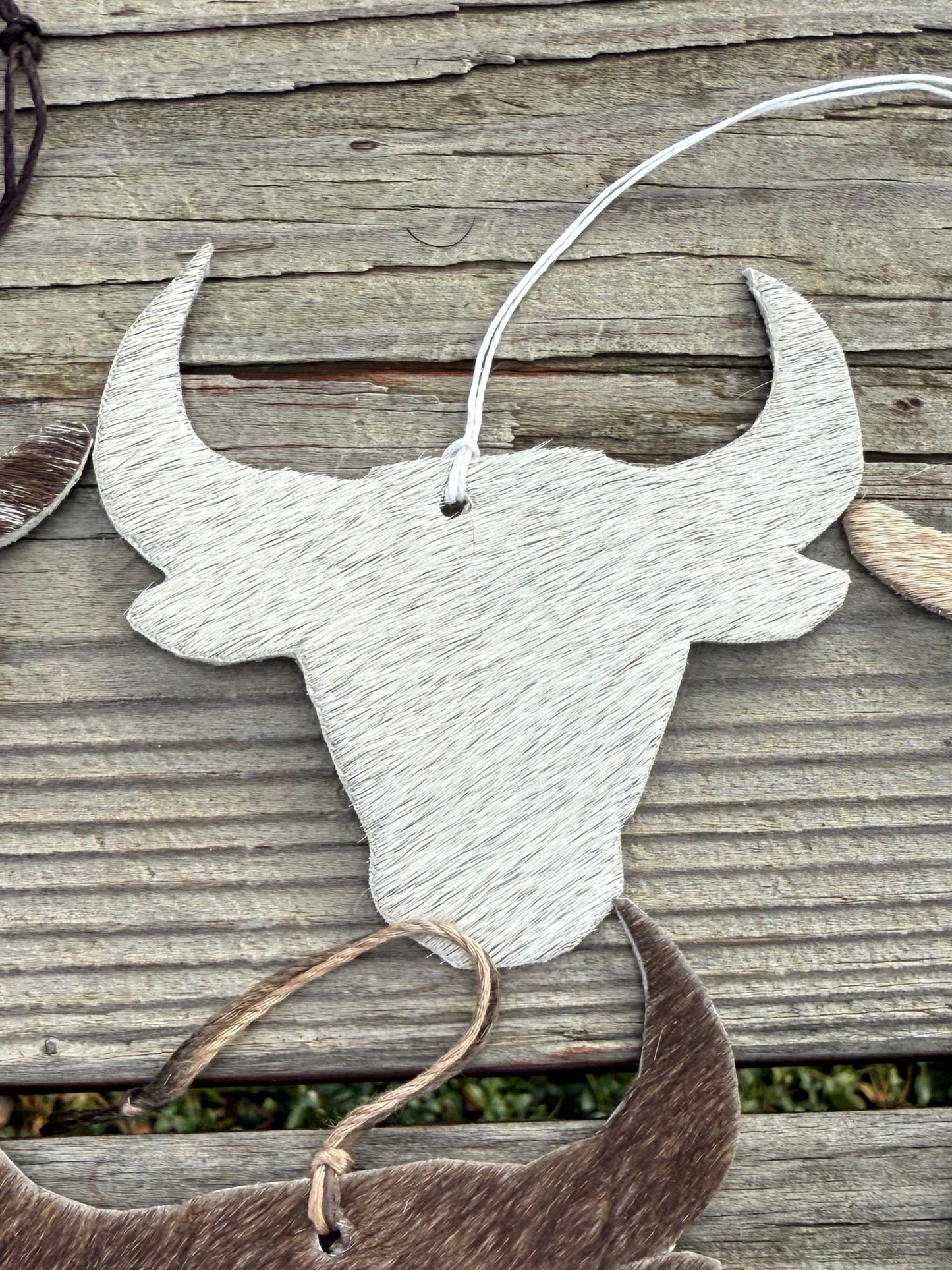 Hair-on cowhide bull head ornament/decor