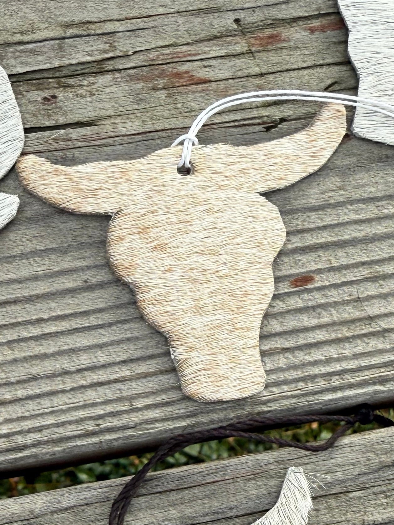 Hair-on cowhide bull head ornament/decor