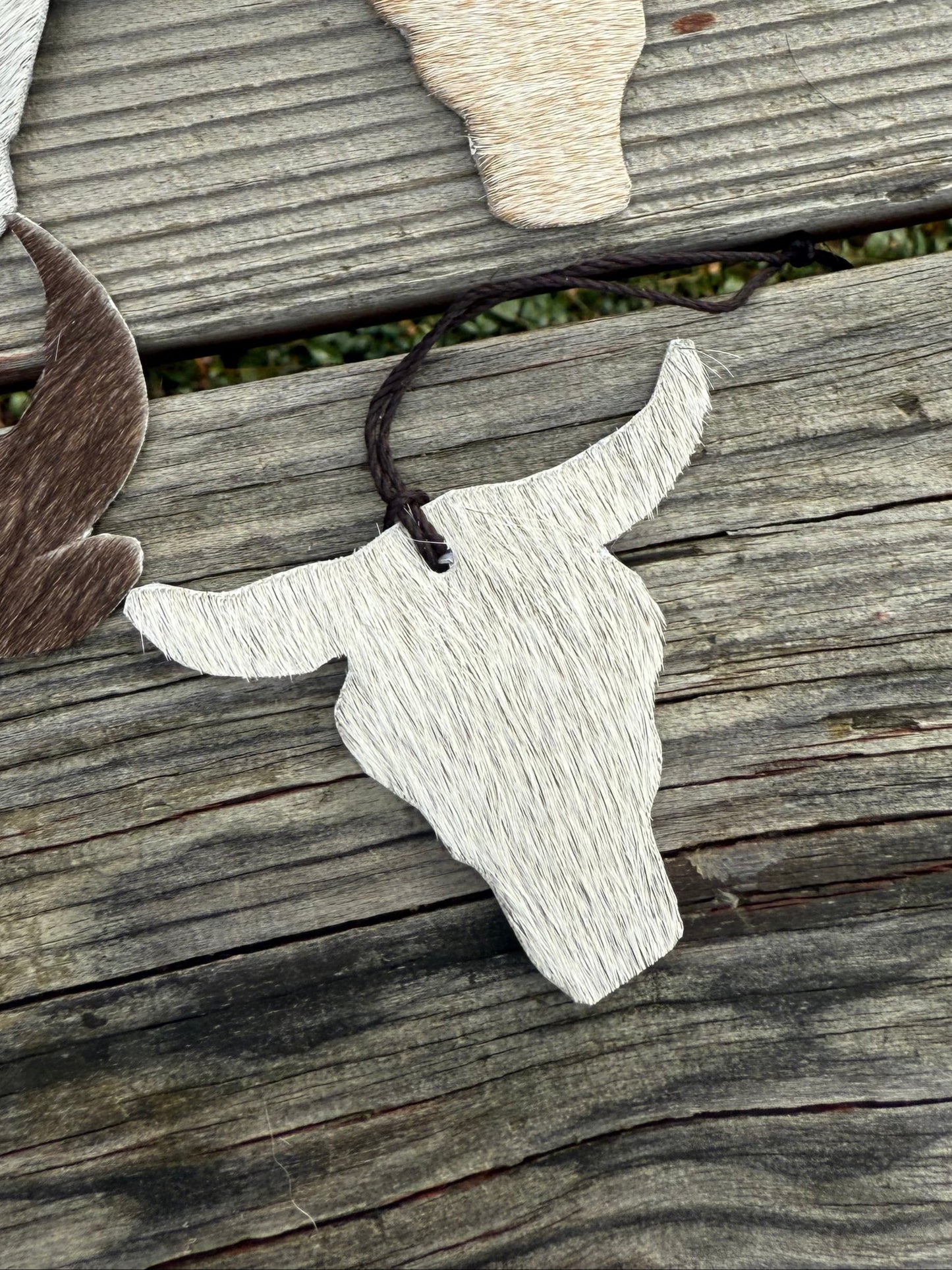 Hair-on cowhide bull head ornament/decor