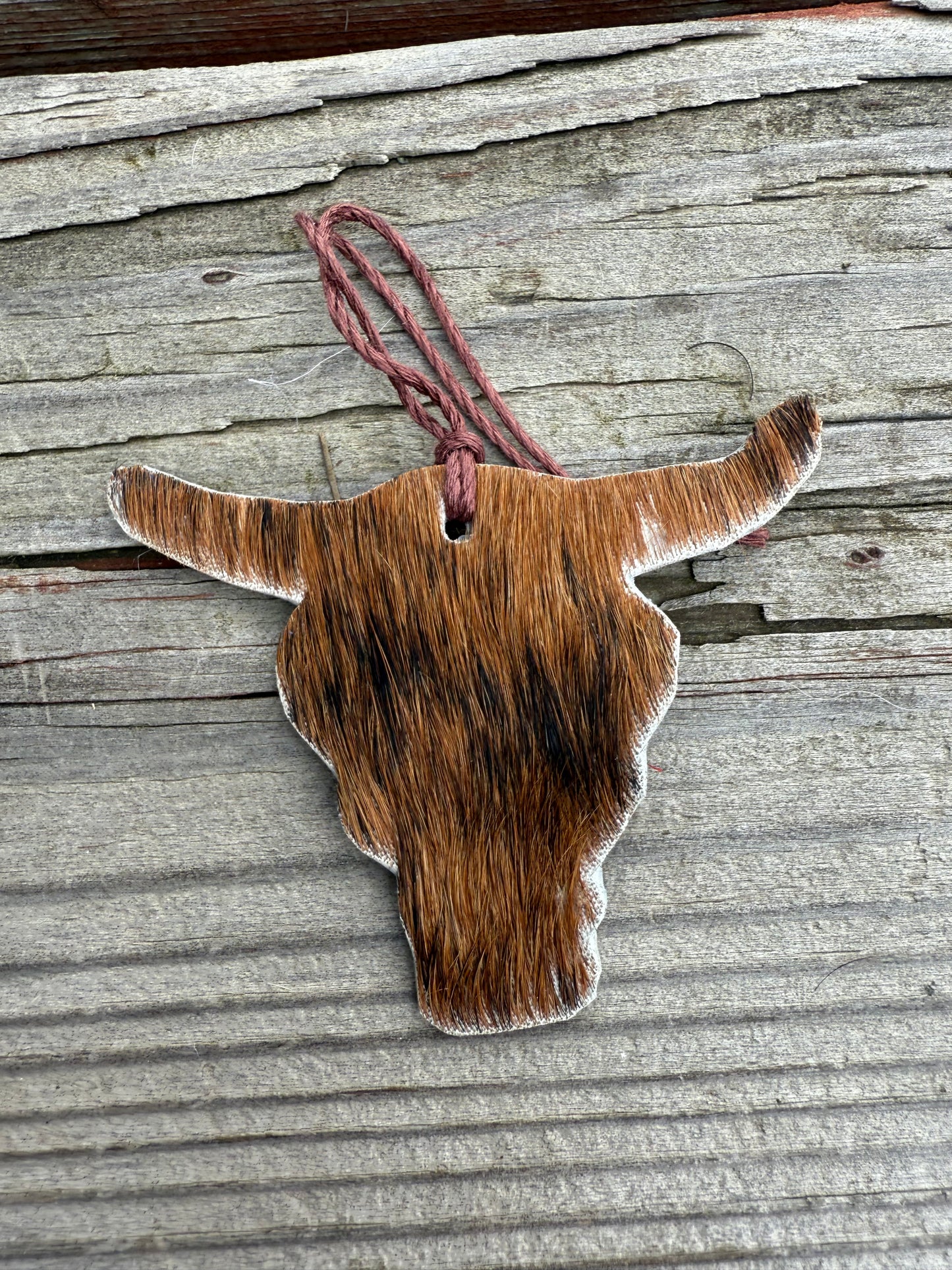 Hair-on cowhide bull head ornament/decor