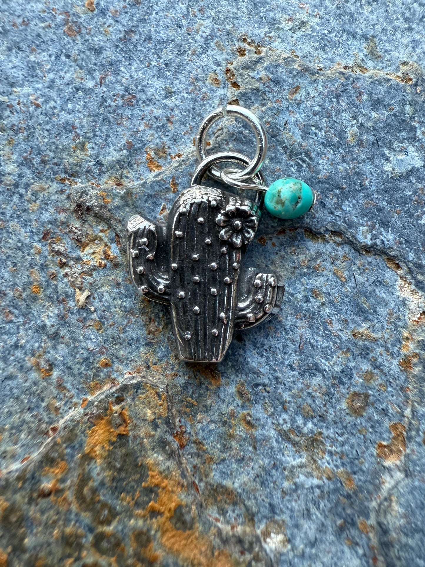 Silver Western Cactus Pendant