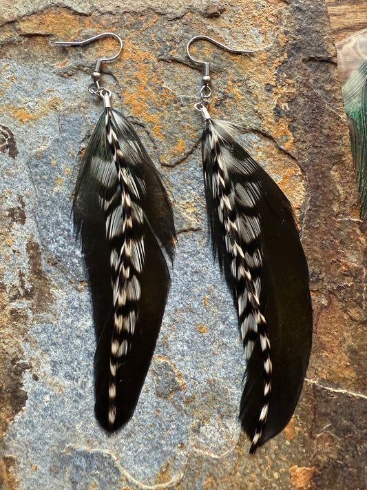 Raven Trail Feather Earrings