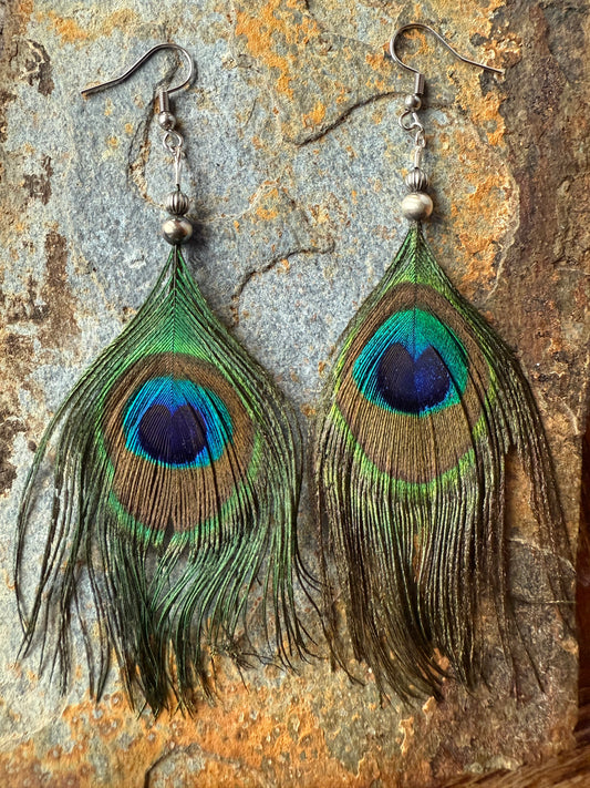Wild Spirit Peacock Feather Earrings